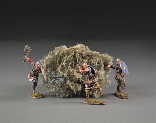 Sage bushes